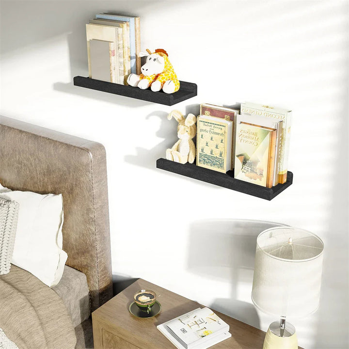 Wall Mounted Picture Shelves