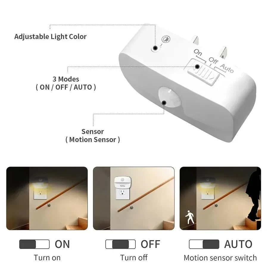 LED Night Light