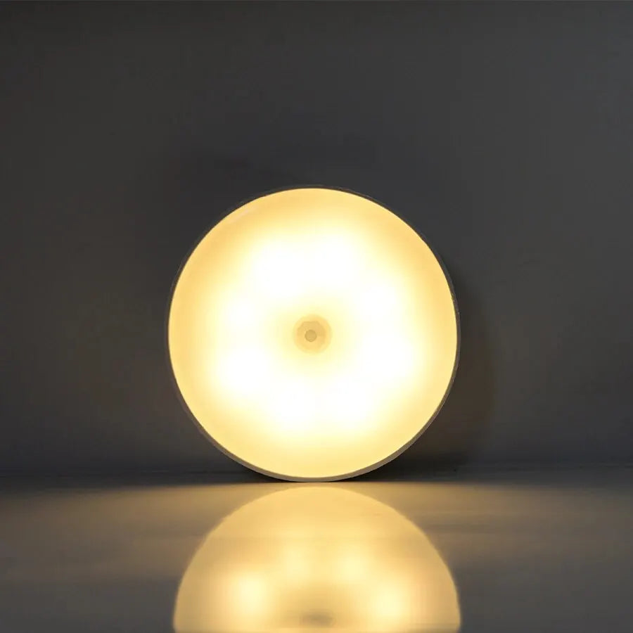 Motion Sensor LED Night Light Lamp